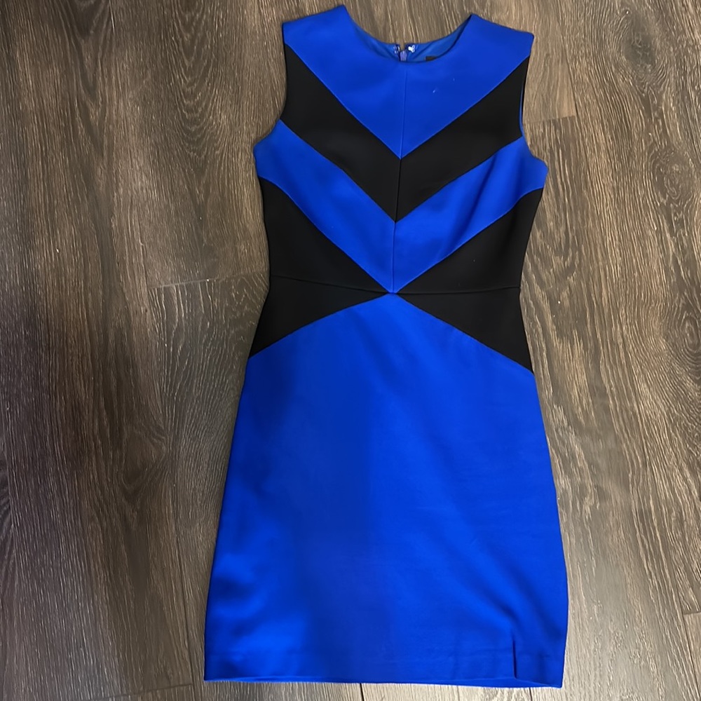 Stunning Cynthia Steffe Shift Dress